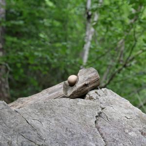 20260603113406-00.jpg