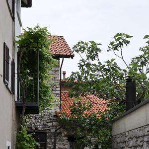 20260604104232-00.jpg